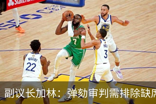 副议长加林：弹劾审判需排除缺席议员的投票