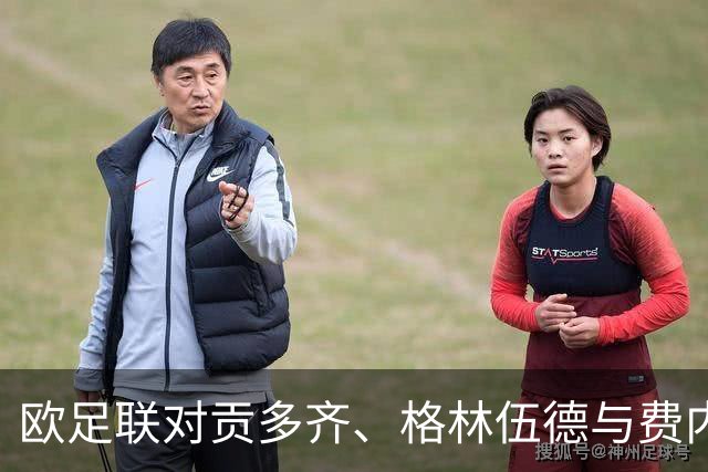 欧足联对贡多齐、格林伍德与费内巴切展开调查程序