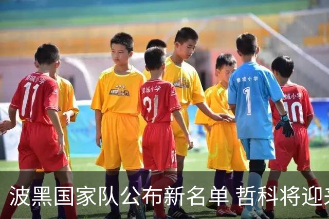 波黑国家队公布新名单 哲科将迎来告别赛