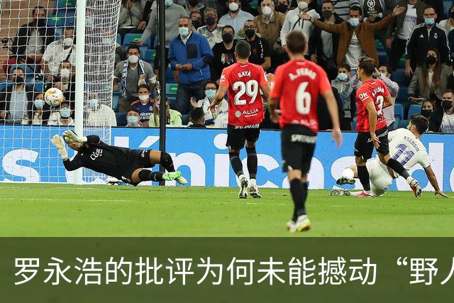 罗永浩的批评为何未能撼动“野人先生